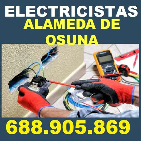 electricistas Alameda De Osuna