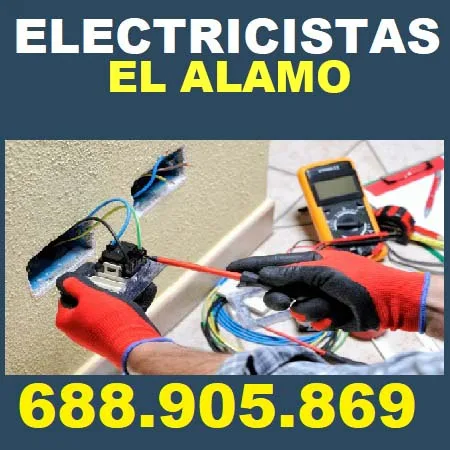 electricistas El Alamo