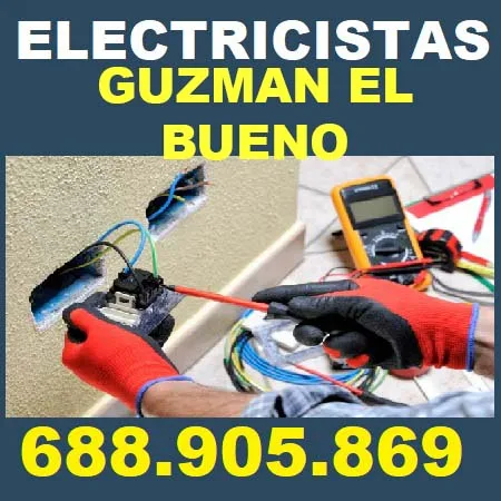electricistas Guzman El Bueno