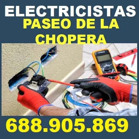 electricistas Paseo De La Chopera