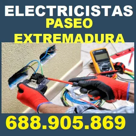 electricistas Paseo de Extremadura